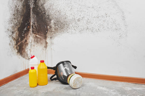 Best Post-Remediation Services in Victoria, KS