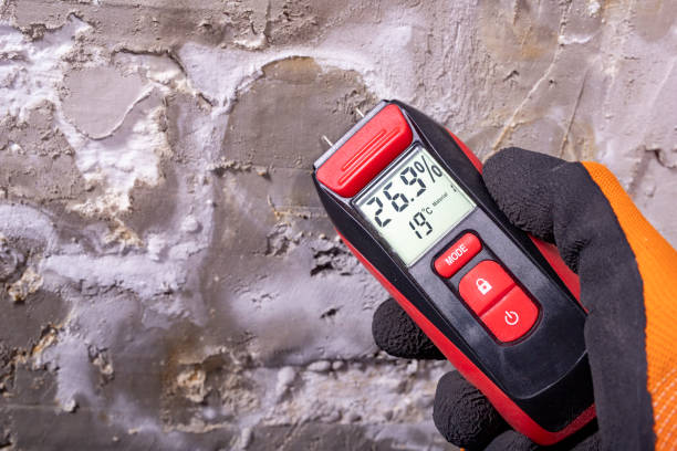Victoria, KS Mold Remediation Company